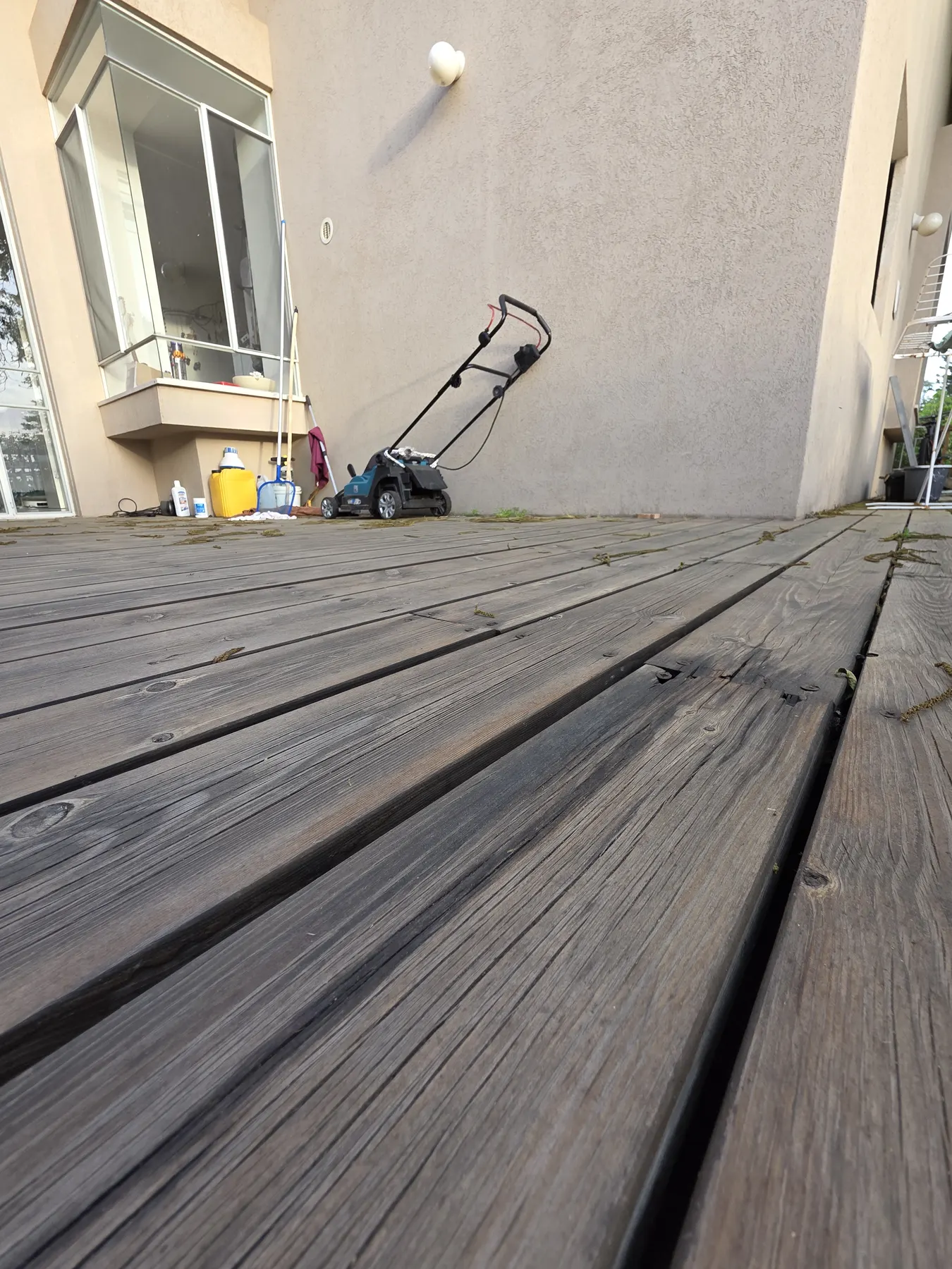 Deck board showing early rot damage