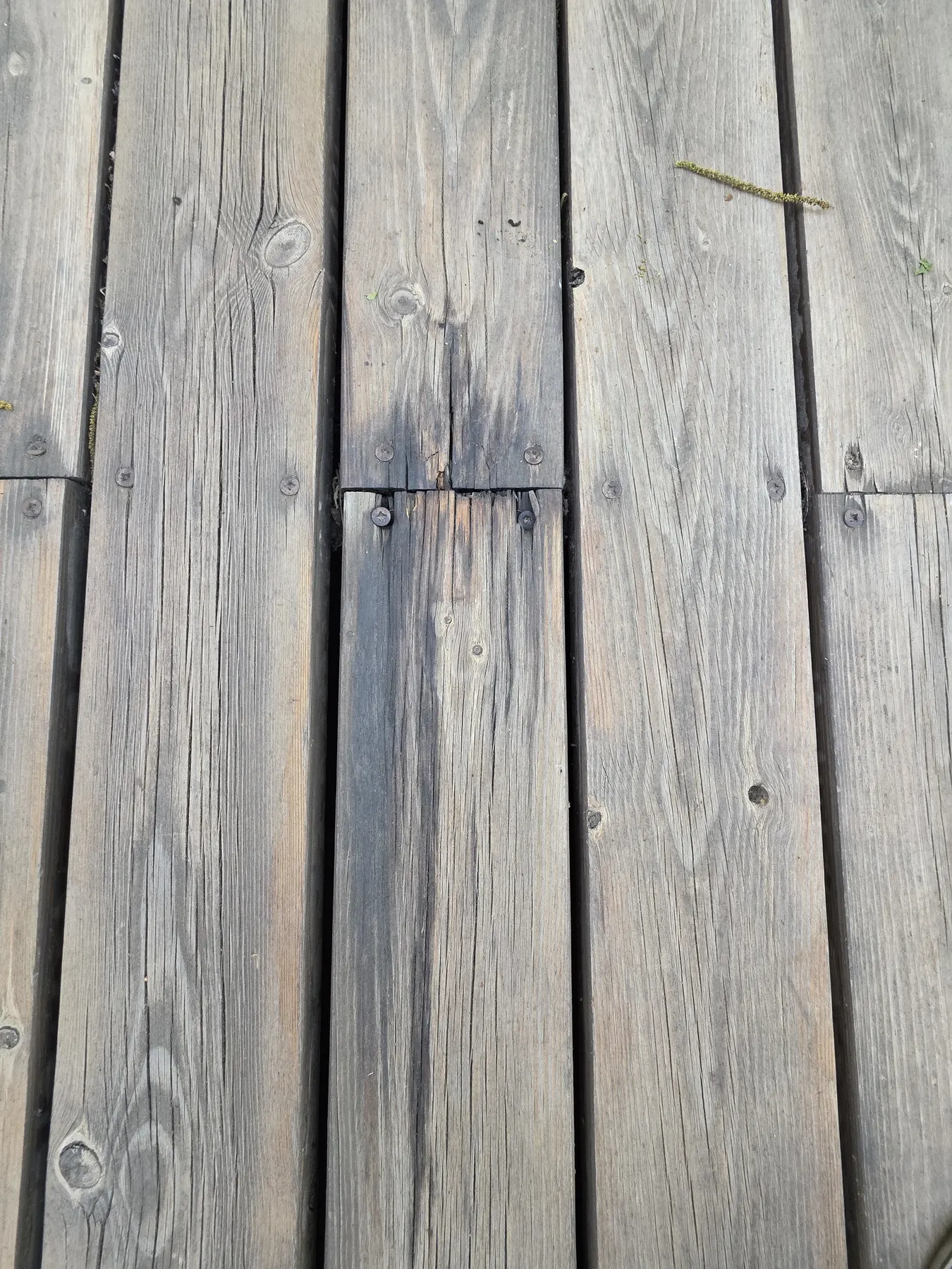 Close-up of deck board rot and deterioration