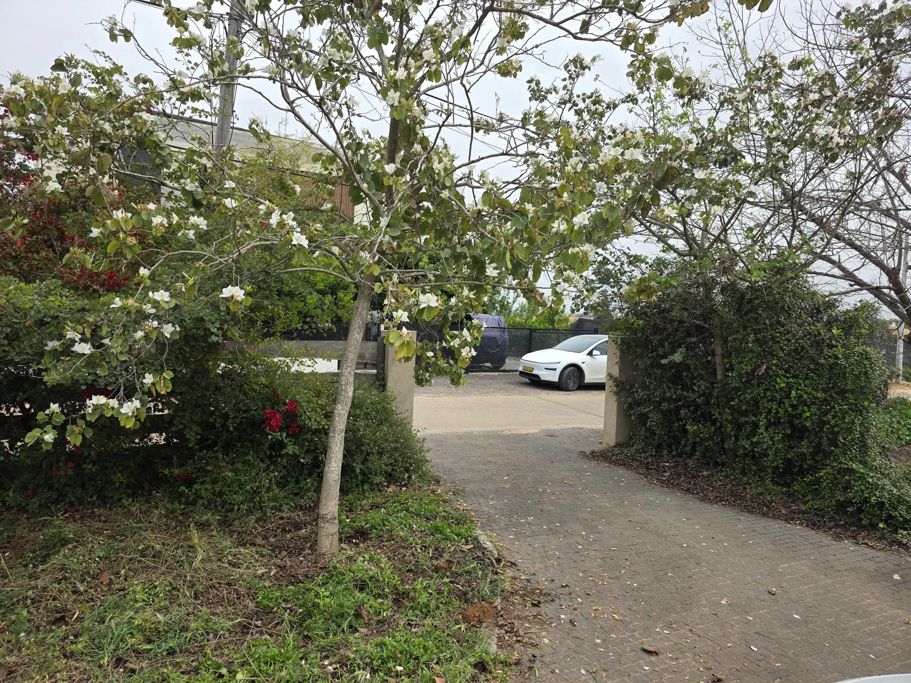 Current driveway entrance before electric gate installation