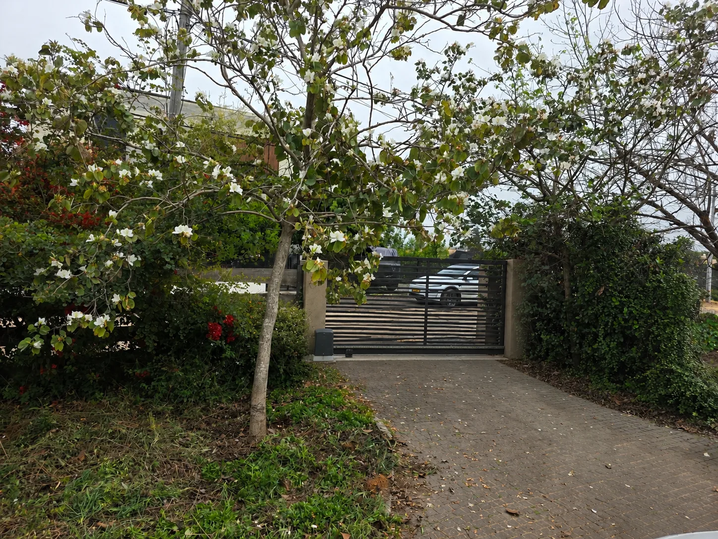 Simulated after image showing driveway with electric gate