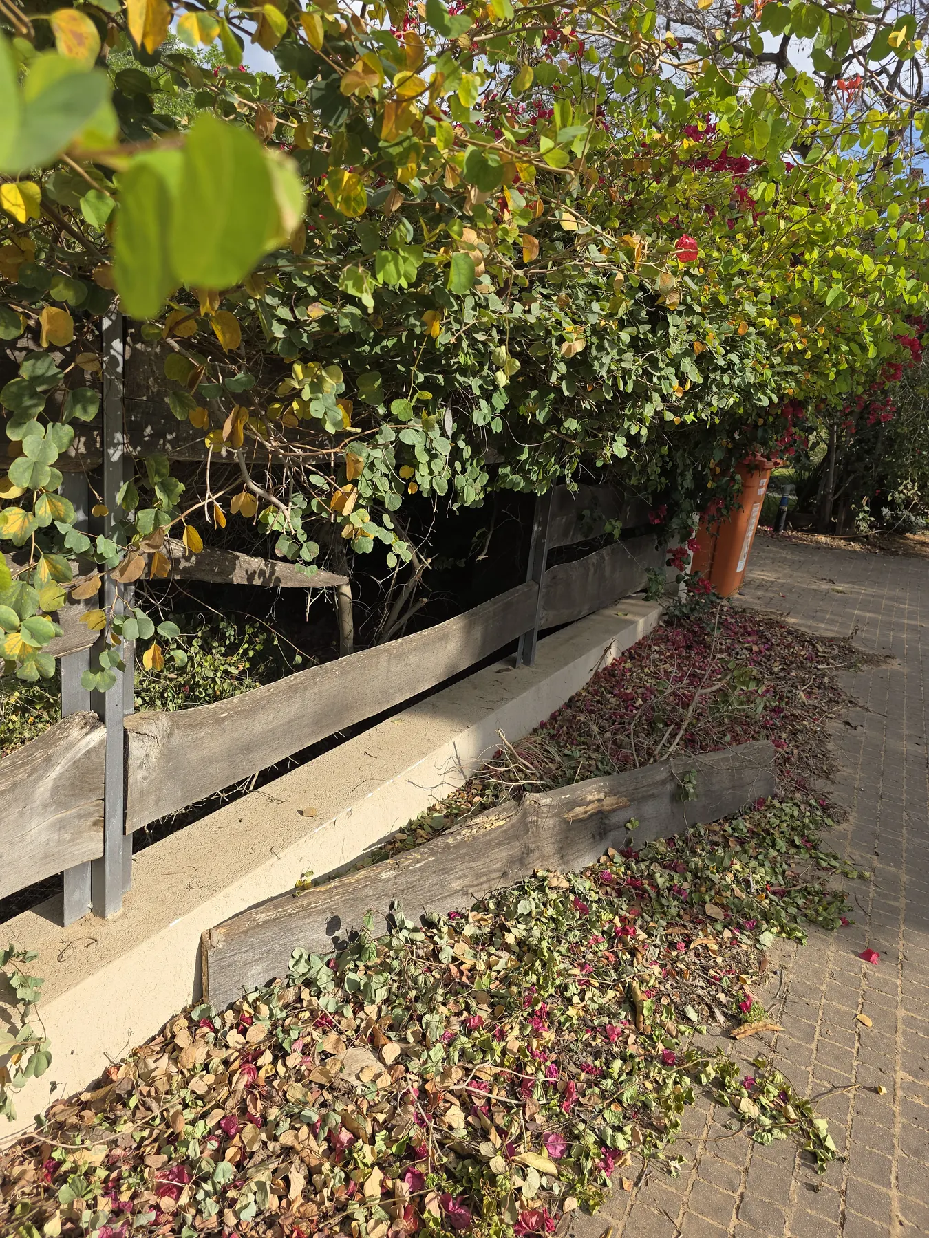 Broken front fence plank before repair