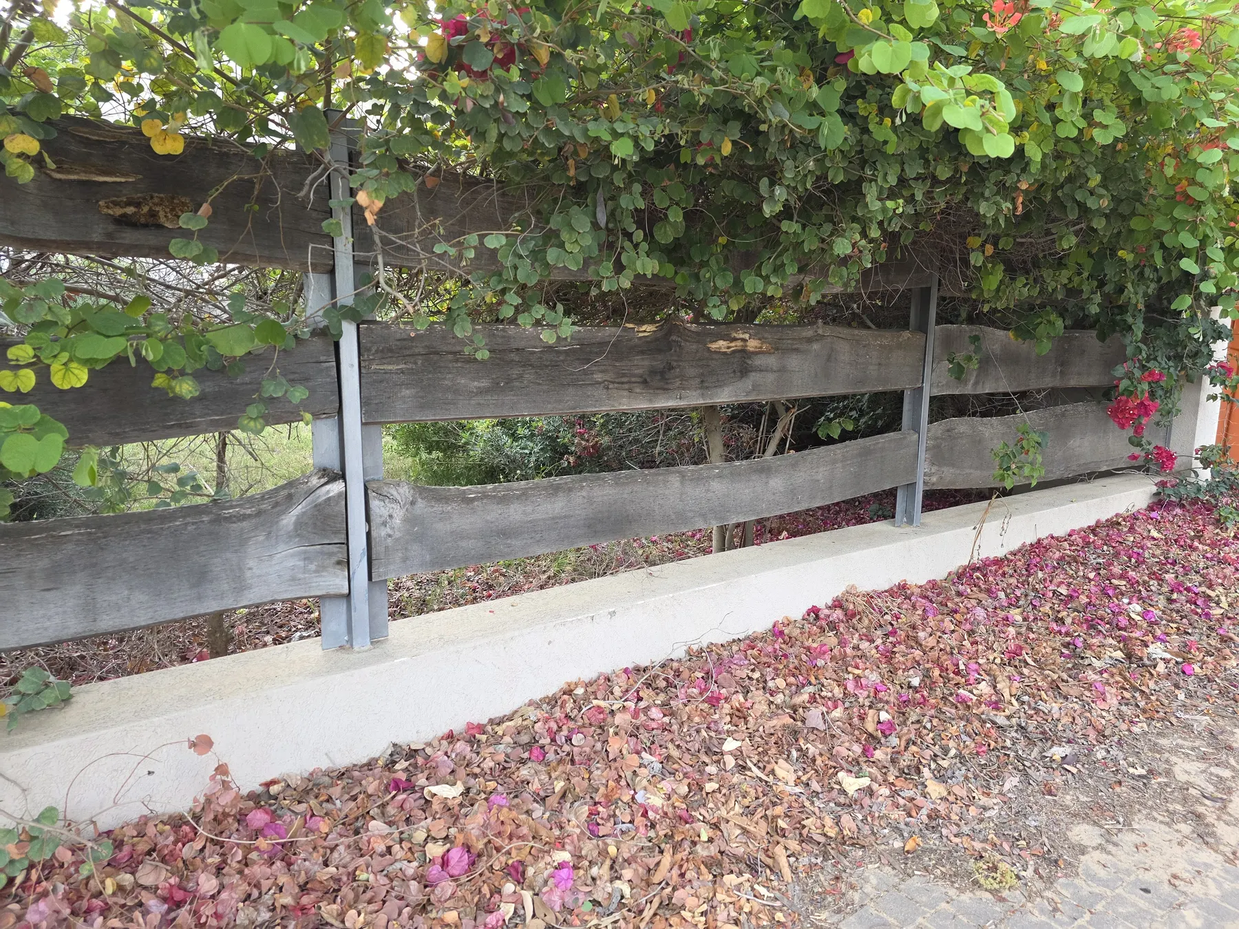 Front fence plank after completed repair